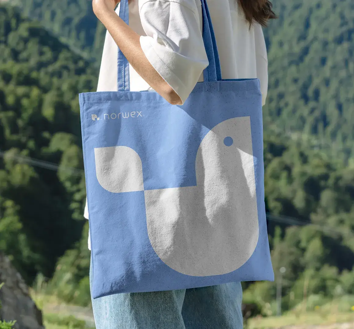 Norwex case study bag