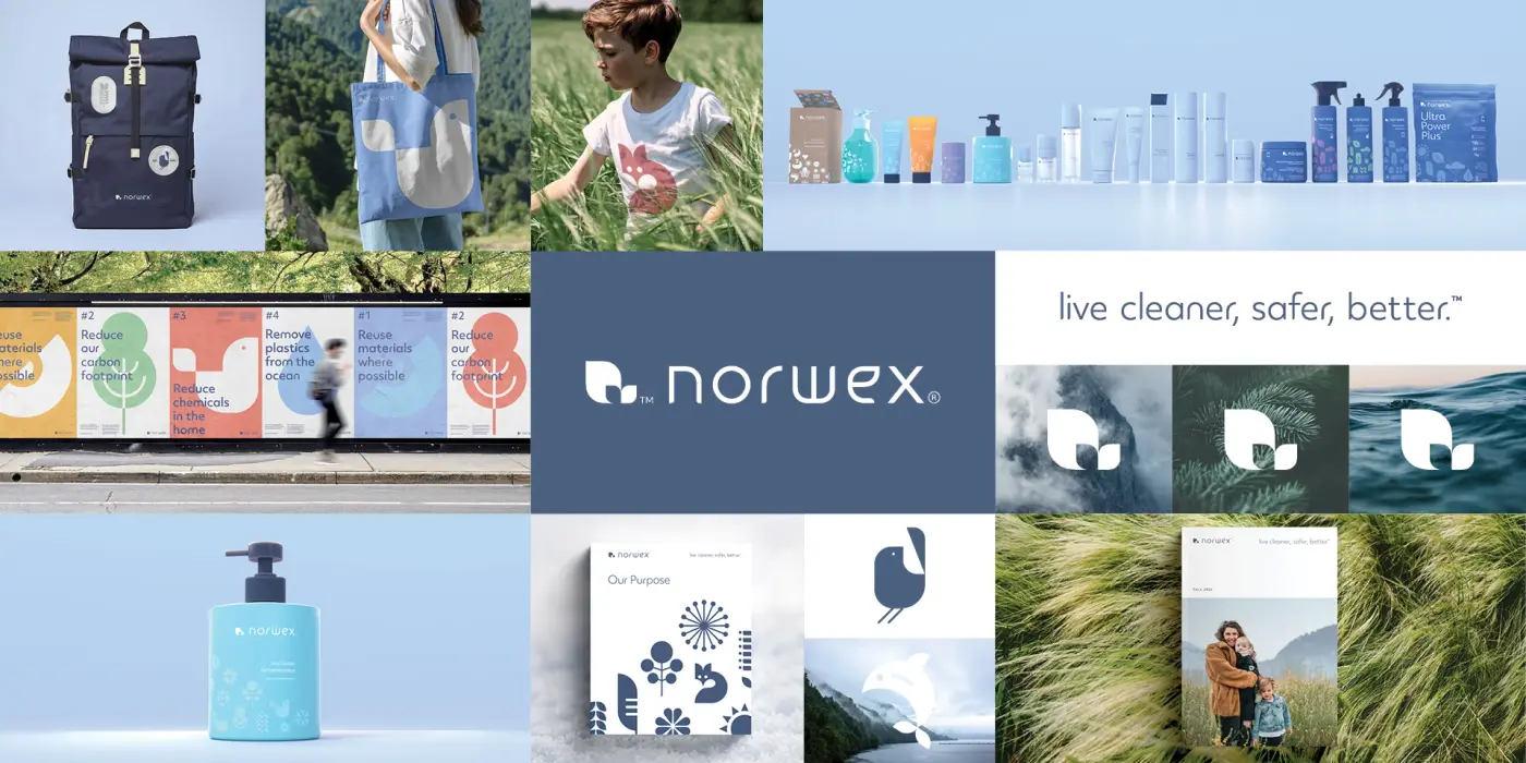 Norwex case study after rebrand