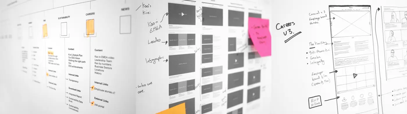 Kao_EMEA_Web_CS_wireframe_1920x540.jpg