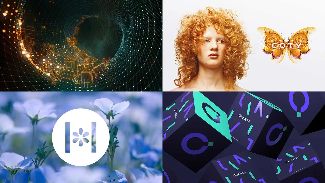 Brand identity and design
